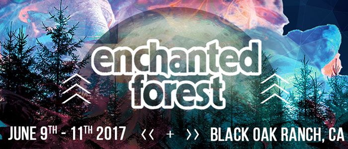 Enchanted Forest