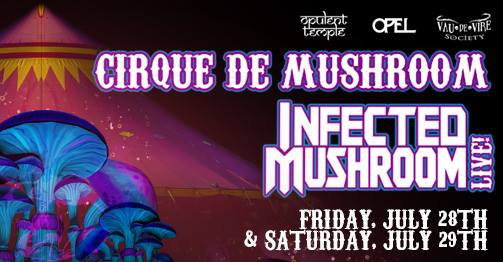 Infected Mushroom